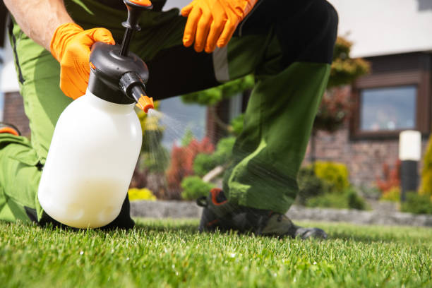 Best Residential Pest Control  in Kingsville, TX