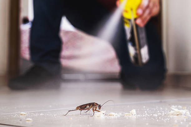 Best Best Pest Control Companies  in Kingsville, TX
